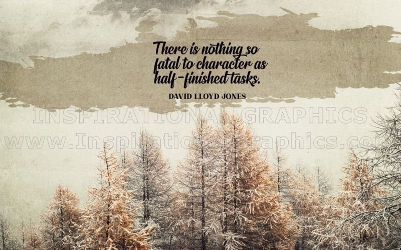 Nothing So Fatal To Character by David Lloyd Jones Printable Inspirational Quote Graphic [3184-17583-2023-01-Pg13-19]