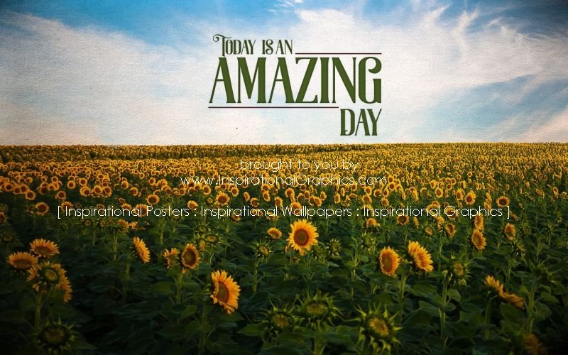 Today Is An Amazing Day Positive Affirmation [3181-17603]