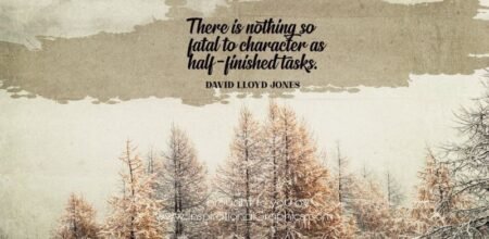 Nothing So Fatal To Character by David Lloyd Jones [3184-17583]