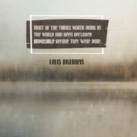 Things Worth Doing In The World by Louis Brandeis [3185-17564]