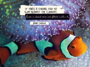 Swim Against The Current