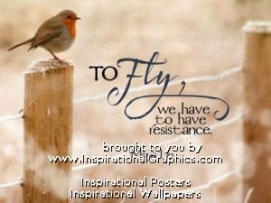Have To Have Resistance