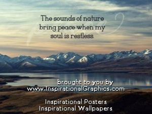 Sounds Of Nature Bring Peace