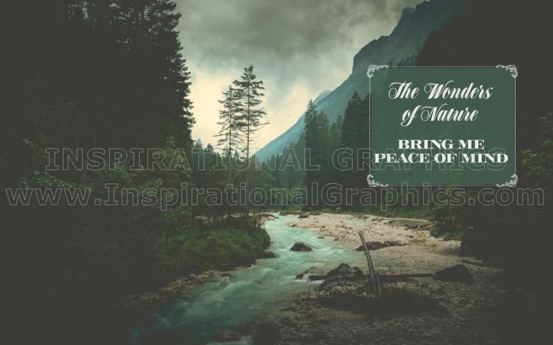 Wonders of Nature Positive Affirmation Inspirational Quote Graphic [3334-18232-2023-07]