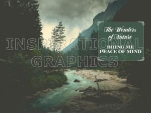 Wonders Of Nature