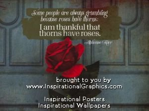 Thorns Have Roses
