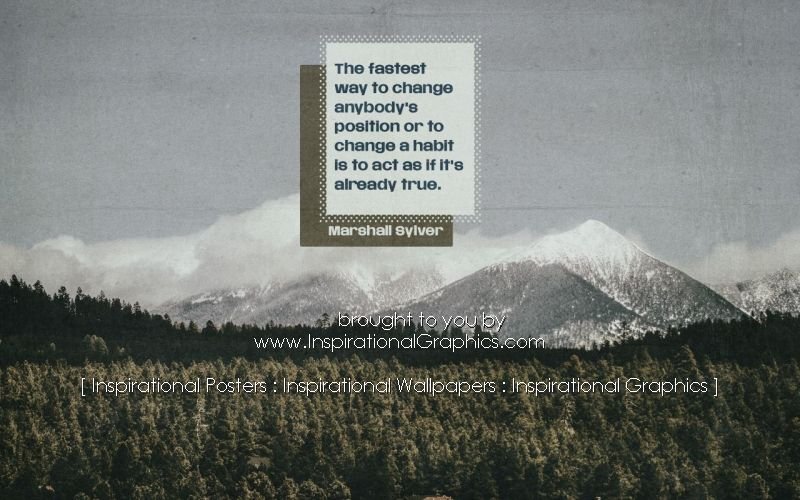 Fastest Way To Change by Marshall Sylver [3257-17907]