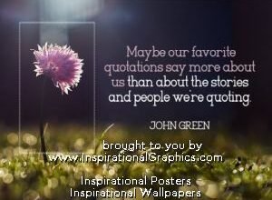 Our Favorite Quotations by John Green [3335-18236]