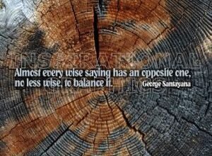 Wise Saying by George Santayana Inspirational Quote Graphic [128-8240-2010-01]