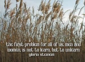 To Unlearn by Gloria Steinem Inspirational Quote Graphic [132-5011-2010-01]