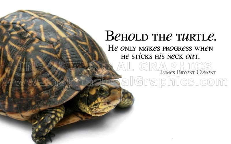 Makes Progress by James Bryant Conant Inspirational Quote Graphic [166-4933]