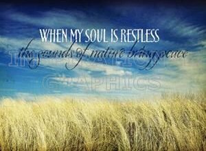 Soul Is Restless Positive Affirmation Inspirational Quote Graphic [1024-9905-2014-06]