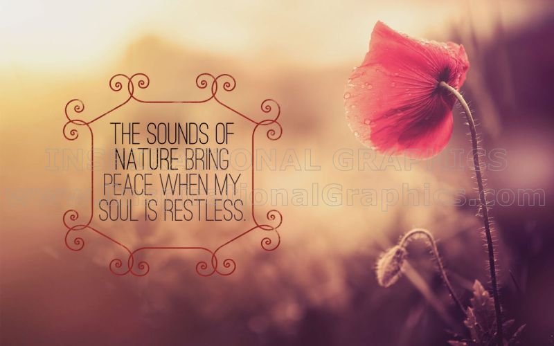 Sounds of Nature Positive Affirmation Inspirational Quote Graphic [1126-6437-2014-11]