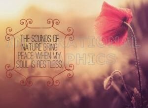 Sounds of Nature Positive Affirmation Inspirational Quote Graphic [1126-6437-2014-11]