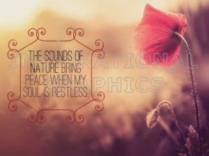 Sounds of Nature