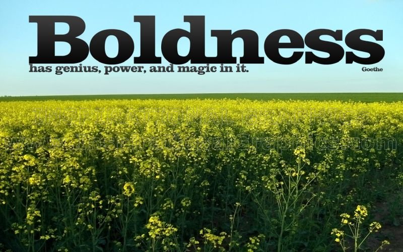 Boldness by Goethe Inspirational Quote Graphic [134-5235-2010-01]