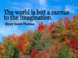 Canvas To The Imagination