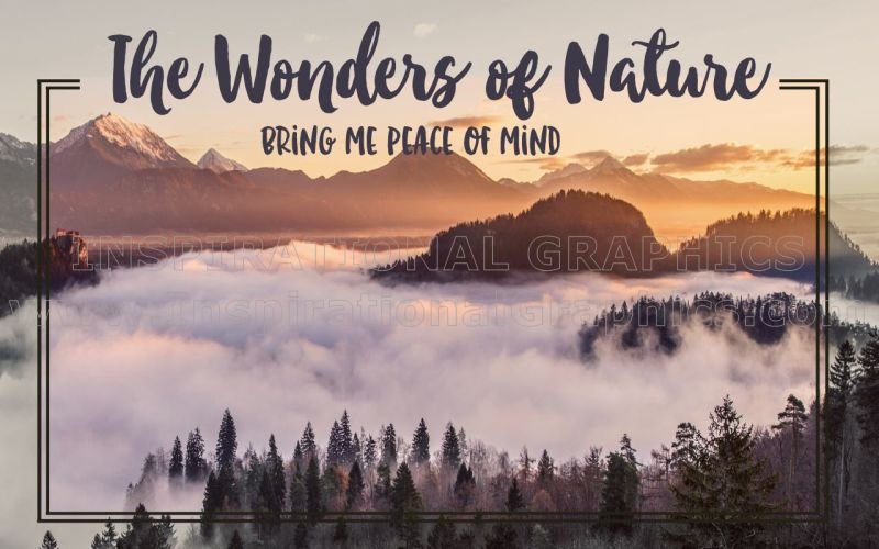 Wonders of Nature Positive Affirmation Inspirational Quote Graphic [1858-11502-2017-012]