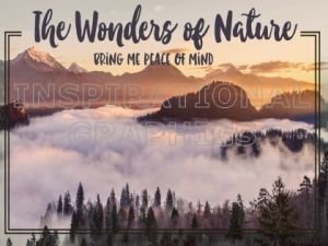 Wonders Of Nature