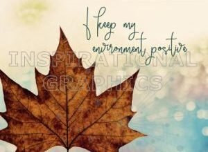 Positive Environment Positive Affirmation Inspirational Quote Graphic [2123-13069-2019-01]