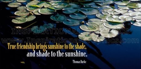 True Friendship by Thomas Burke Inspirational Quote Graphic [302-8996-2010-10]