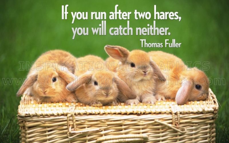 Run After Two Hares Inspirational Quote Graphic By Thomas Fuller [307-7769-2010-10]