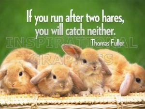 Run After Two Hares