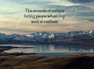 Sounds of Nature Positive Affirmation Inspirational Quote Graphic [3273-17871-2023-03]