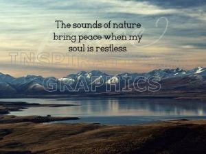 Sounds of Nature