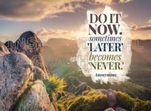 Do It Now by Author Unknown Printable Inspirational Quote Graphic [2676-15299-2020-12]