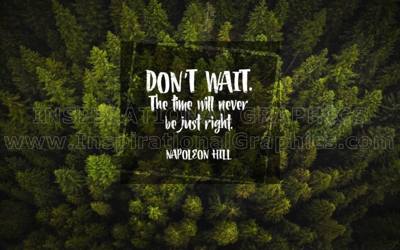 Don't Wait by Napoleon Hill Inspirational Quote Graphic [2921-16362-2021-12]