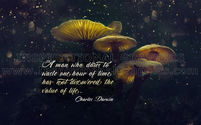 Value of Life by Charles Darwin Inspirational Quote Graphic [3020-16822-2022-05]
