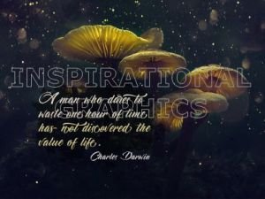 Value Of Life