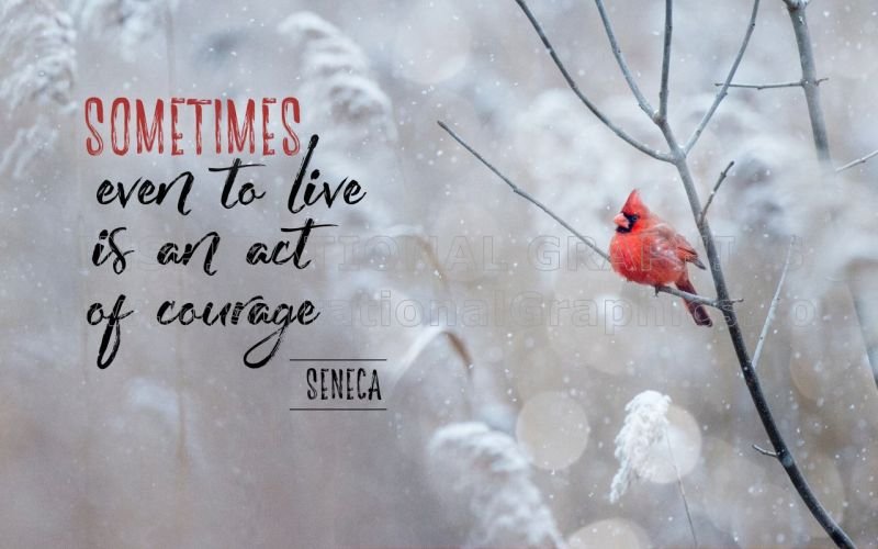 Act Of Courage by Seneca Printable Inspirational Quote Graphic [2182-13369-2019-04]