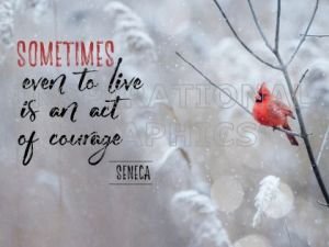Act of Courage