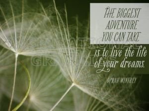 Live The Life Of Your Dreams