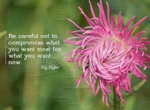 What You Want Most by Zig Ziglar Printable Inspirational Quote Graphic [3174-17538-2023-01-Pg14-2]